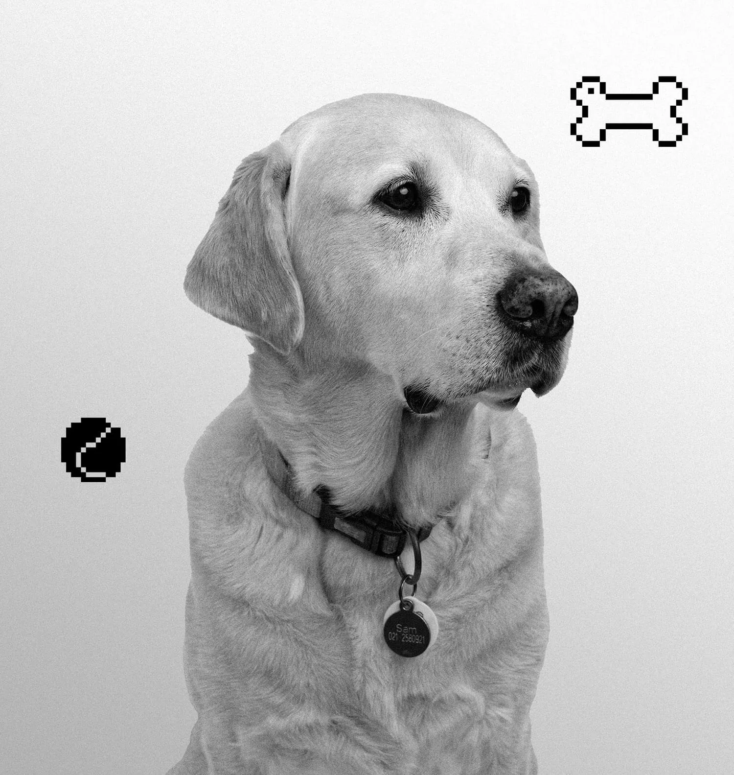 Sam