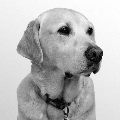 Sam